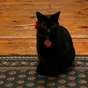 Meet your Posher, Candace